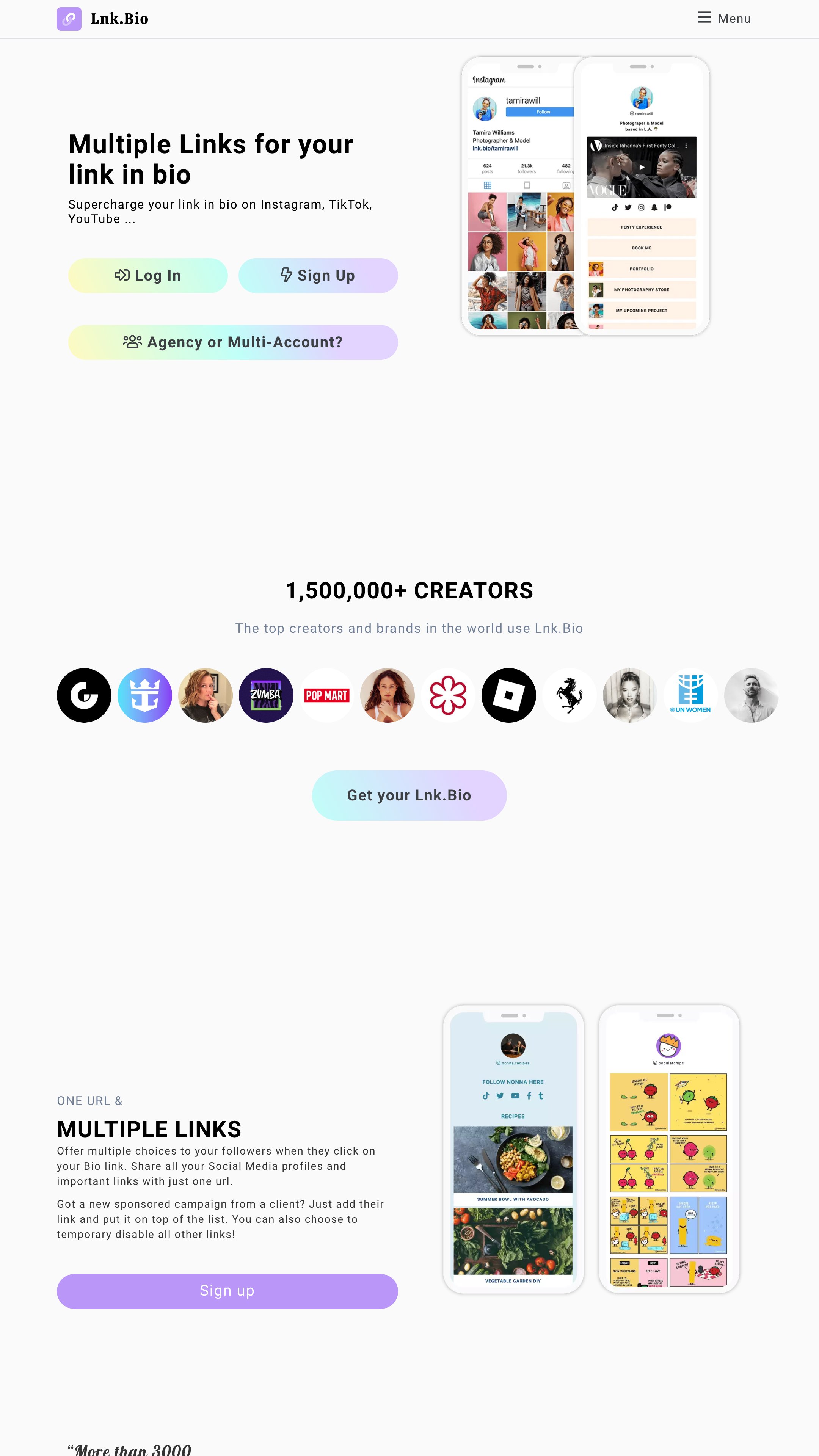 4. Lnk.Bio homepage