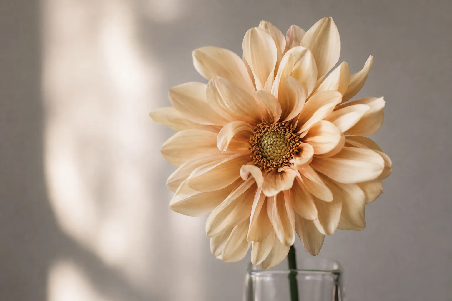 beige flower