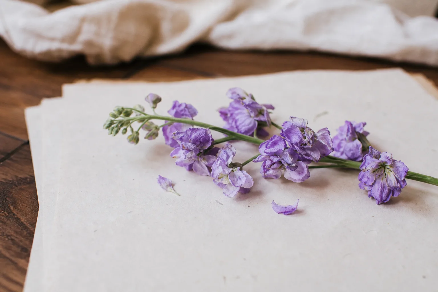 purple flowers on paper